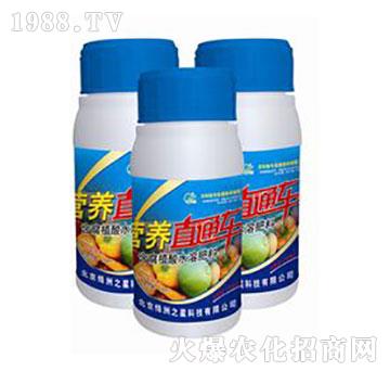 營養(yǎng)直通車-綠洲之星