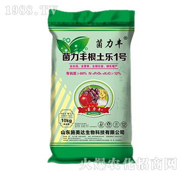 �����S������1̖-�����S-ʩ���_