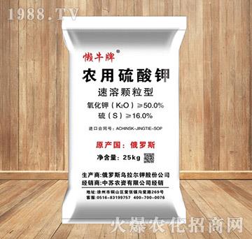 �����w���͑�ţ�����-���K�r(n��ng)�Y