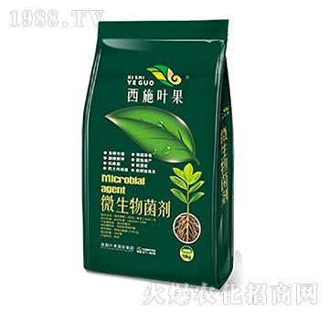 ΢���������10kg��-�~������