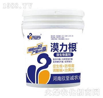 ΢�������-Į����-�����\(ch��ng)