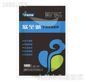 �VԴ�S�����-�����\(ch��ng)