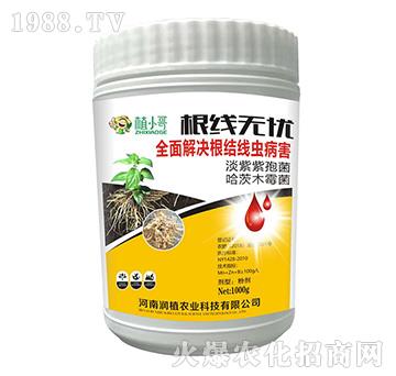 �����o�n-��(r��n)ֲ