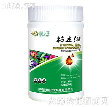 ������-��ֲ