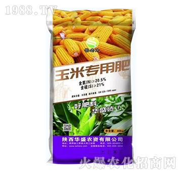 玉米專用肥-華盛農(nóng)資