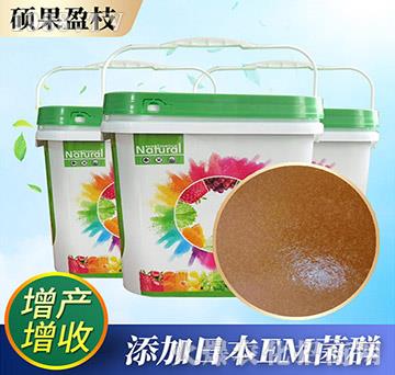 ����-�T��ӯ֦