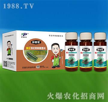 黃瓜頂花帶刺嫩直長(zhǎng)-胖管家-艾普生