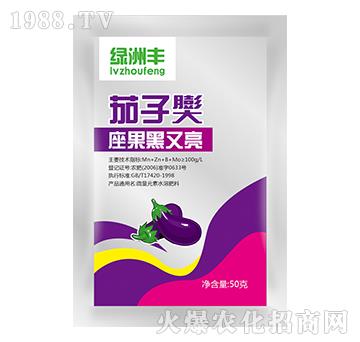 茄子膨大座果黑又亮-綠洲豐-鑫星