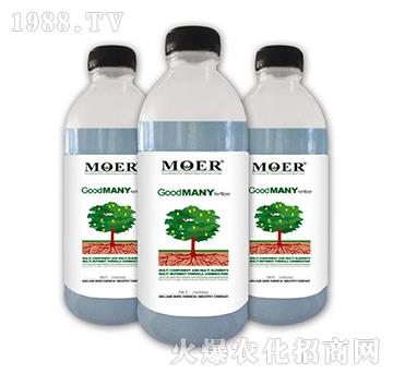 �Ì���-Ħ������