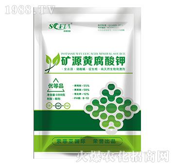 �VԴ�S�����-���Ɓ�