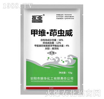 16%�׾S�����x��-��