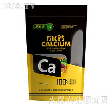 �f(w��n) �� �}- Ӣ �� ��