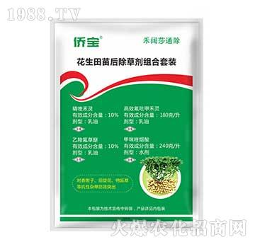 �����������݄��M�����b-�S��-(li��n)���r�I(y��)