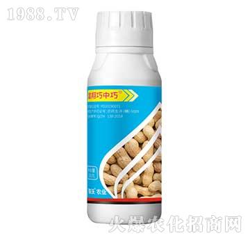 ���������ɸ�Ч��N��-(li��n)���r(n��ng)�I(y��)