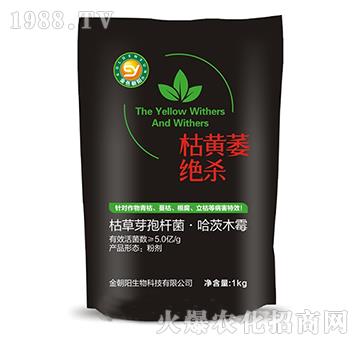 枯黃萎絕殺-金朝陽(yáng)