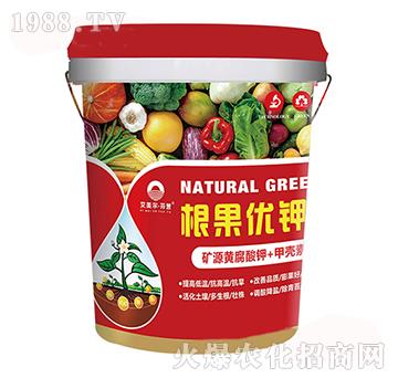 ������(y��u)�-�����������u