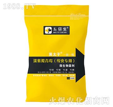 ���x(ch��ng)���õ��ϔM��ù-��̫��-������