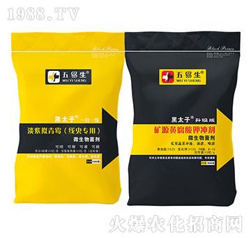 淡紫擬青霉+礦源黃腐酸鉀沖劑-黑太子-五易生