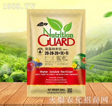 ����{����20-20-20+TE+Ti������-���ԁ��(l��)