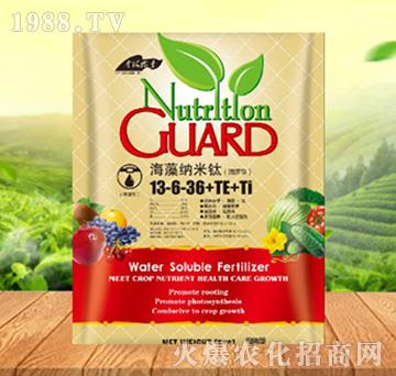 ����{����13-6-36+TE+Ti������-���ԁ��