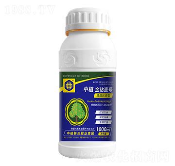 ΢��Ԫ��ˮ�ܷ�-��ֲ���@Ҽ̖(h��o)-��ֲ(li��n)��