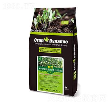 ��(zhu��n)����΢��Ԫ��ˮ�ܷ�-�Q��-�W�G����