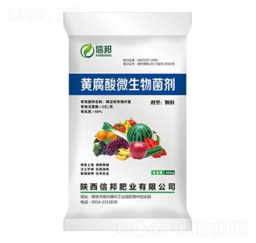 黃腐酸微生物菌劑-信邦肥業(yè)