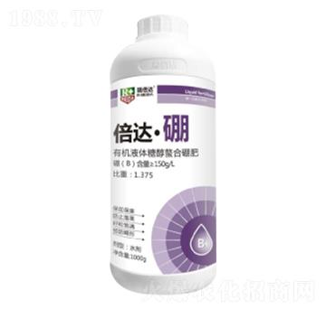 1000g���_����-��