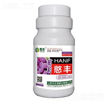 葡萄憨豐-豐收源