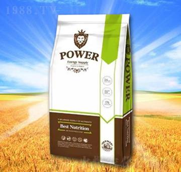 ˮ�ܷ���-POWER-�\�T�r(n��ng)�I(y��)