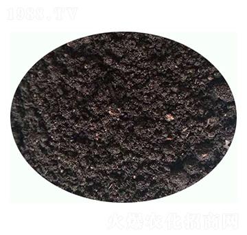 �l(f��)����S�ЙC(j��)����-���|�ʘI(y��)