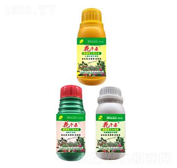 花千朵-正宏農(nóng)業(yè)