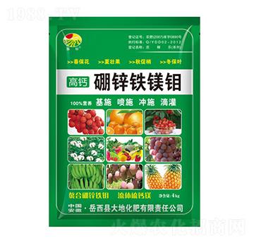 4kg硼鋅鐵鎂鉬-振標-大地化肥