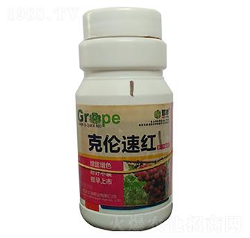 葡萄克倫速紅-豐收源