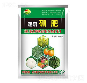 速溶硼肥-振標-大地化肥