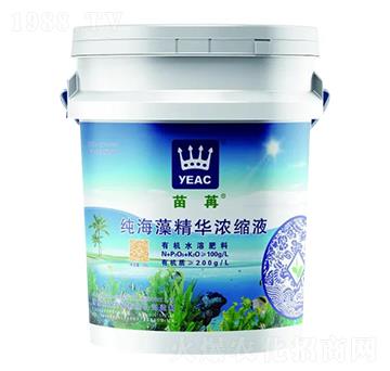 純海藻精華濃縮液-苗苒