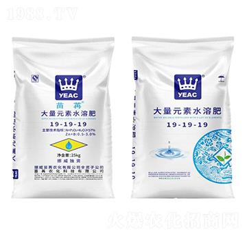 大量元素水溶肥19-19-19-苗苒