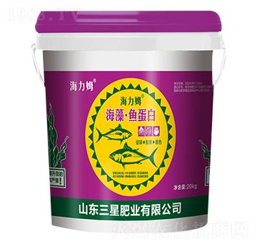 �����~����-����ķ-���ǷʘI(y��)