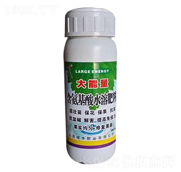 含氨基酸水溶肥料-大能量-綠豐肥業(yè)