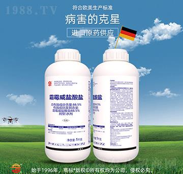 66.5%˪ù���}���}