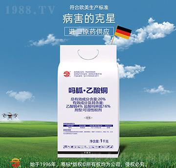 20%���ҡ������~-��