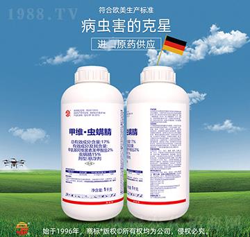 17%�׾S���x����-��