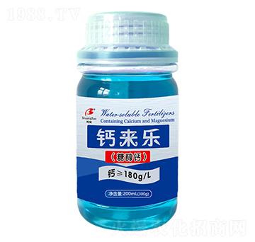 �}�혷-����ʘI(y��)