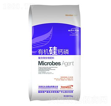 �ЙC(j��)���}���������-�󱊷ʘI(y��)