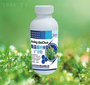 海藻綠葉深露-百科豐