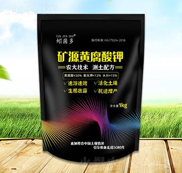 �VԴ�S�����-����-���������