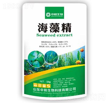 ���徫-�к�����