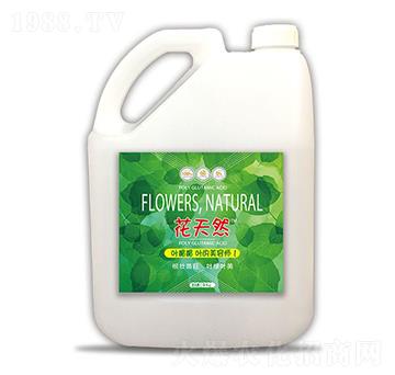 5kg花天然葉媚媚-和天然