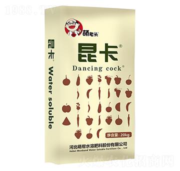 ����-�Ȏ�