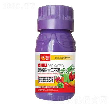 辣椒膨大三不落-鑫瑞豐